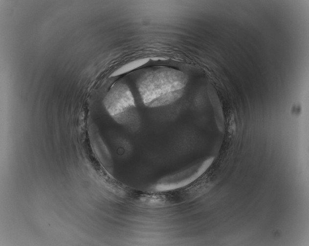 X0000111910559200908241029