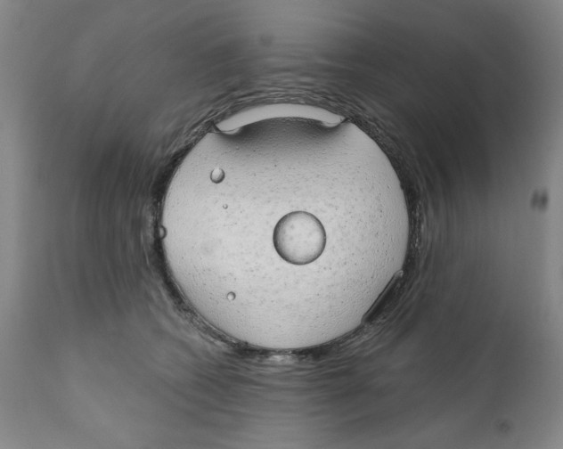 X0000111910562200908241029