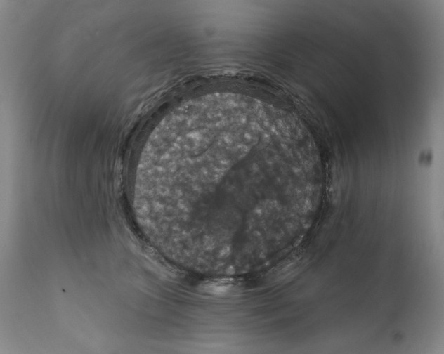 X0000111910563200908241029