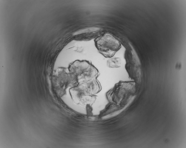 X0000111910565200908241029