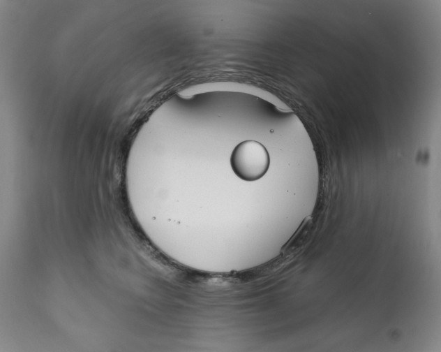 X0000111910566200908241029