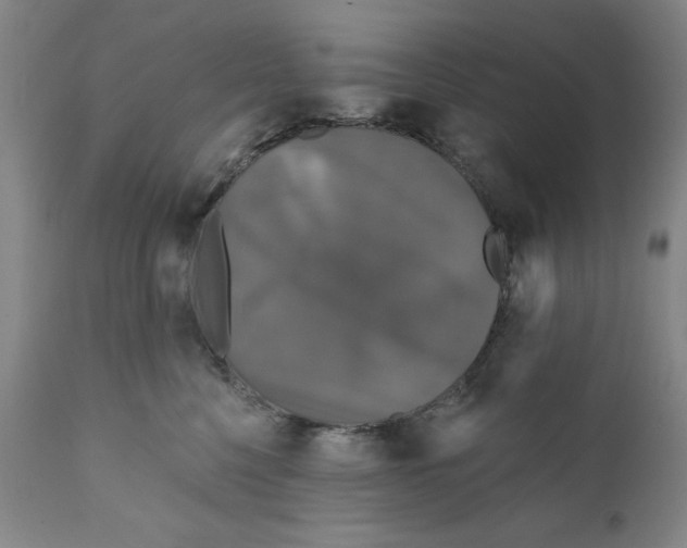 X0000111910568200908241029