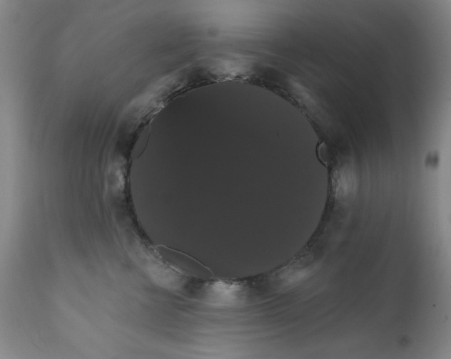 X0000111910570200908241029