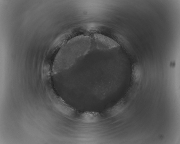 X0000111910571200908241029