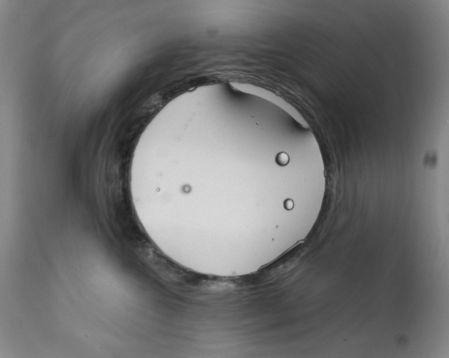 X0000111910572200908241029