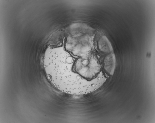 X0000111910573200908241029