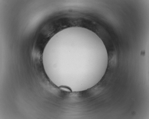 X0000111910574200908241029