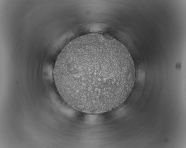X0000111910575200908241029