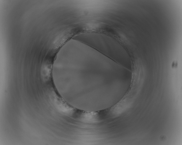 X0000111910576200908241029