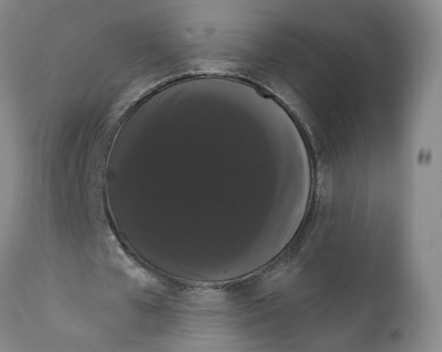 X0000111910577200908241029
