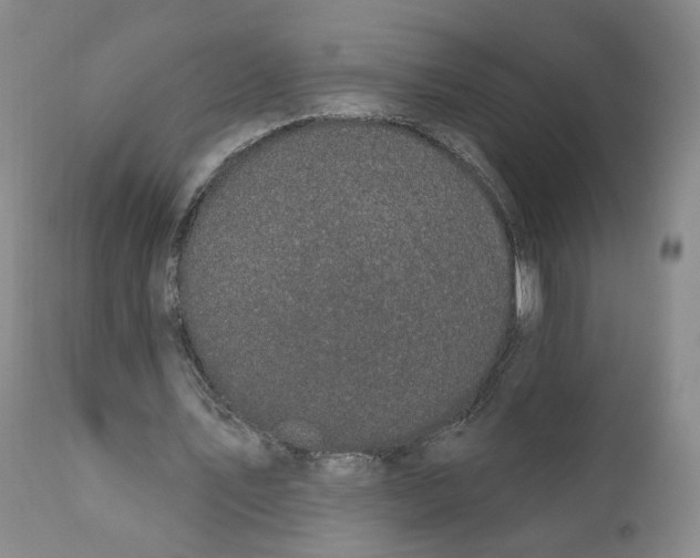 X0000111910579200908241029