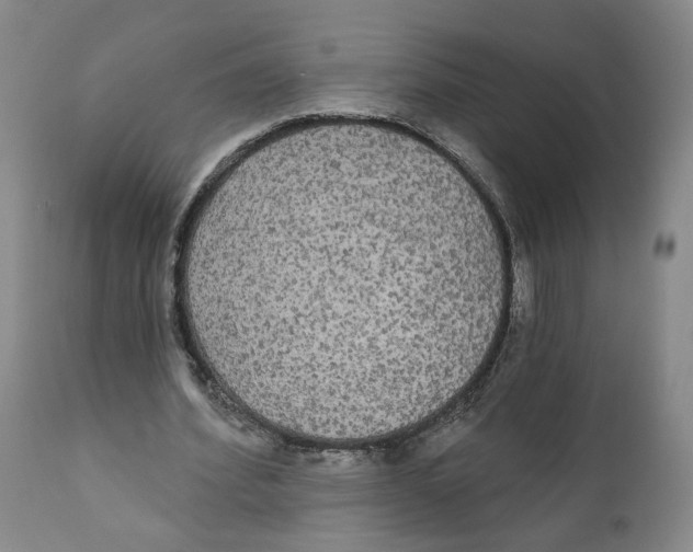 X0000111910580200908241029