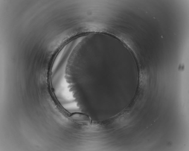 X0000111910581200908241029