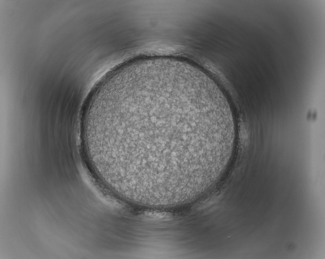 X0000111910582200908241029
