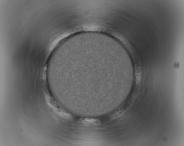 X0000111910583200908241029