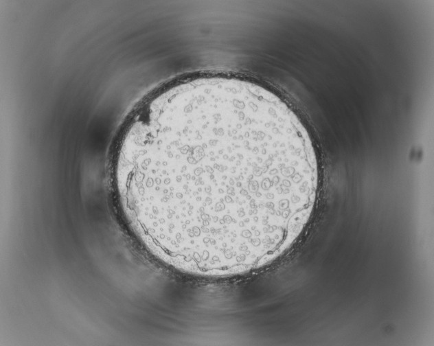 X0000111910584200908241029