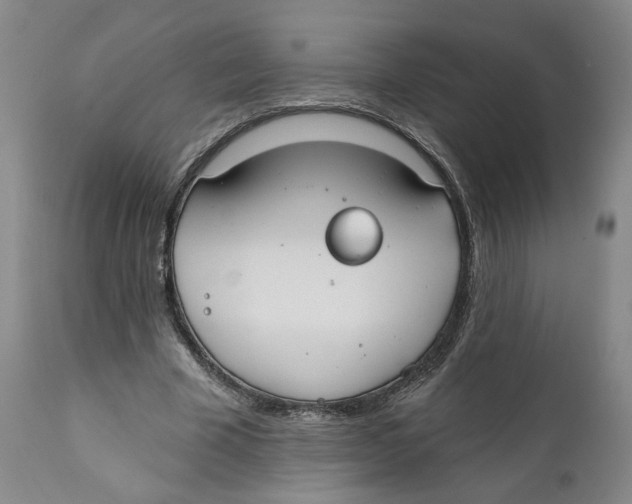 X0000111910585200908241029