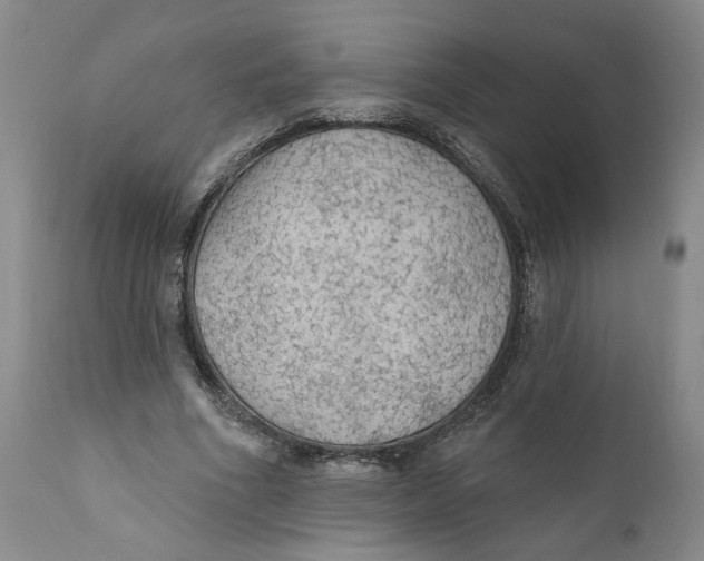 X0000111910586200908241028