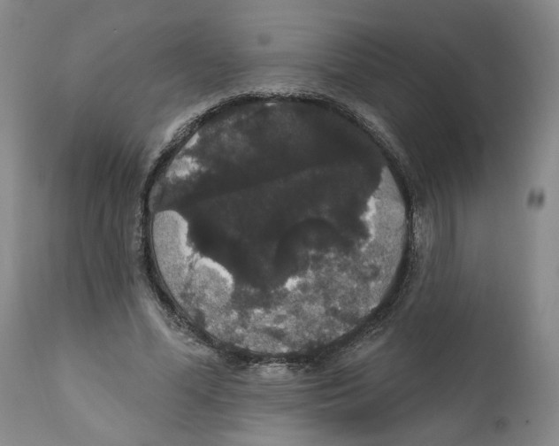 X0000111910588200908241028