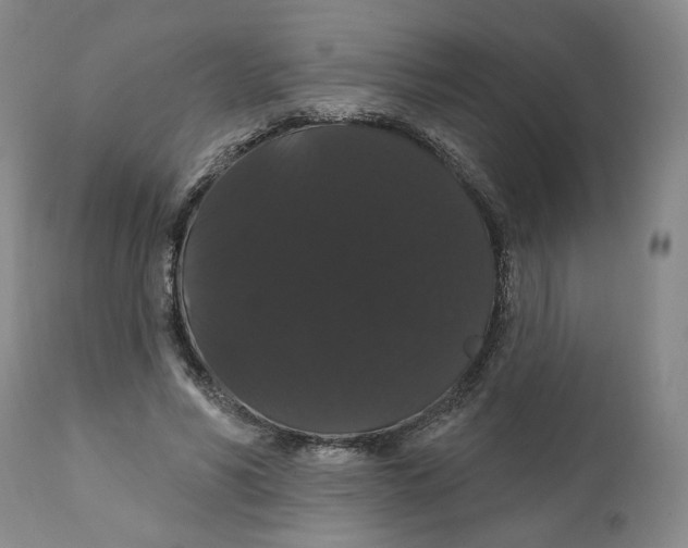 X0000111910590200908241028