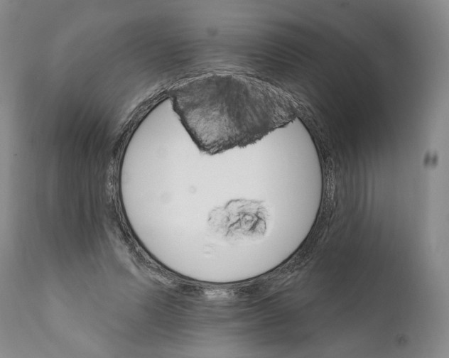 X0000111910591200908241028