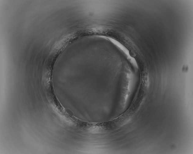 X0000111910593200908241028