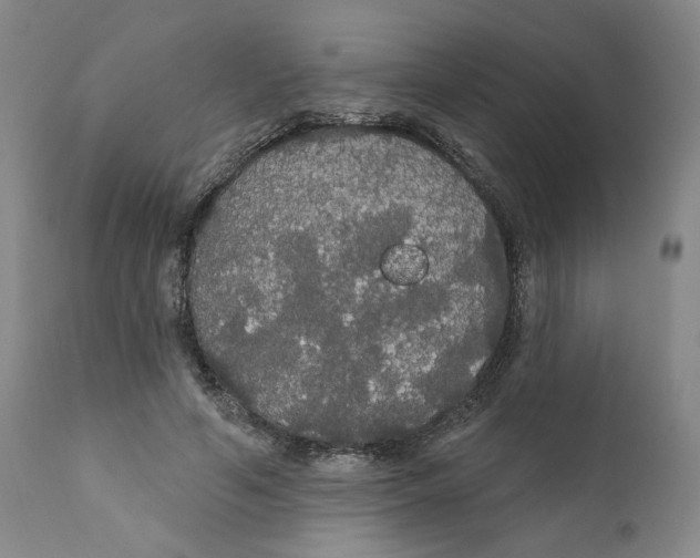 X0000111910594200908241028