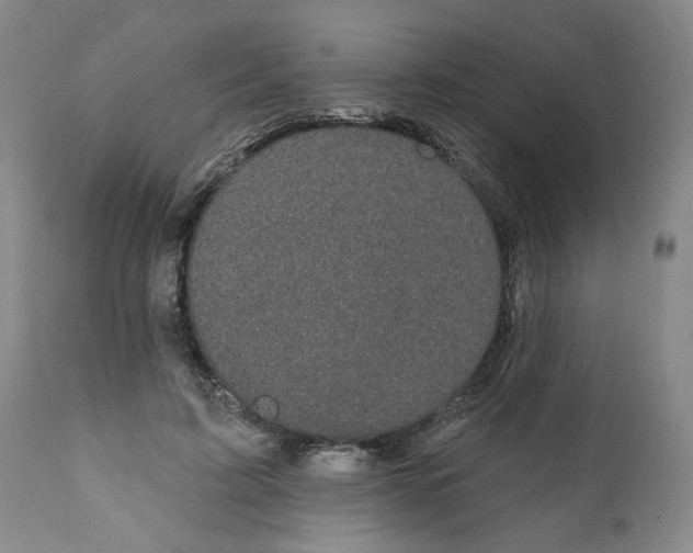 X0000111910595200908241028