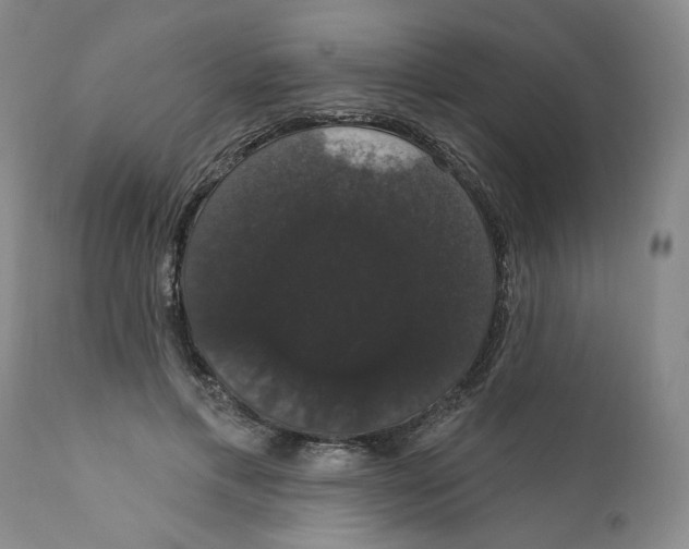 X0000111910597200908241028