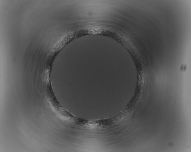 X0000111910598200908241028