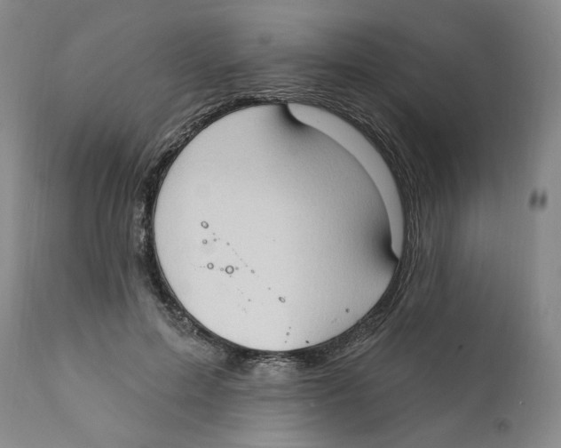 X0000111910599200908241028