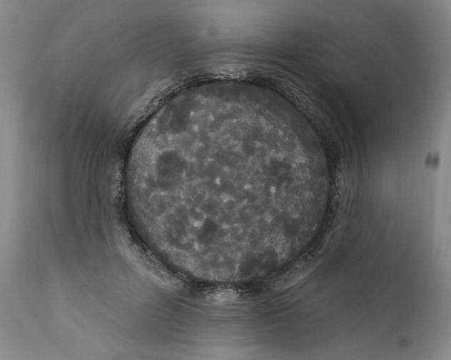 X0000111910600200908241028
