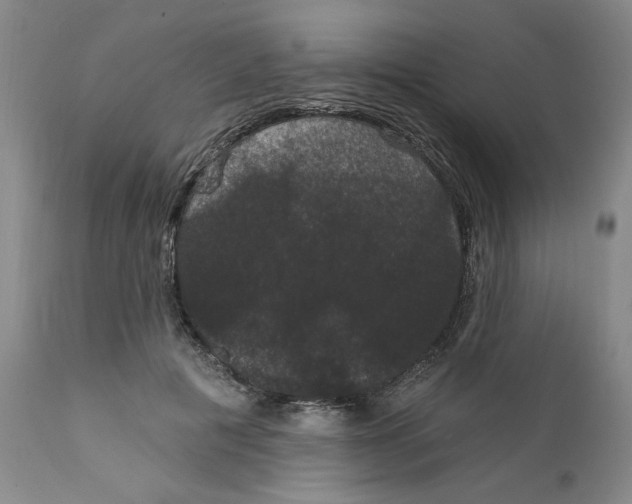 X0000111910601200908241028
