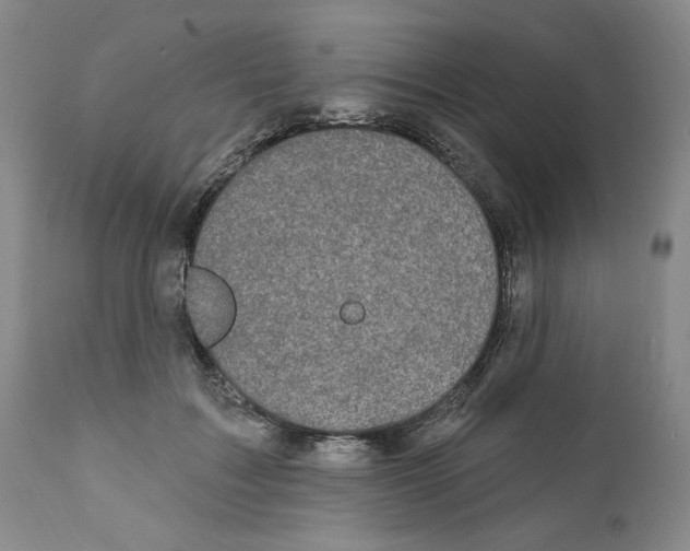 X0000111910603200908241028