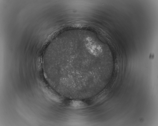 X0000111910605200908241028