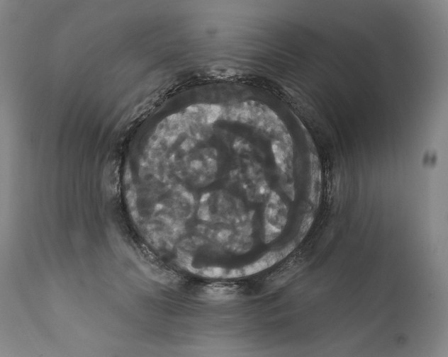 X0000111910606200908241028