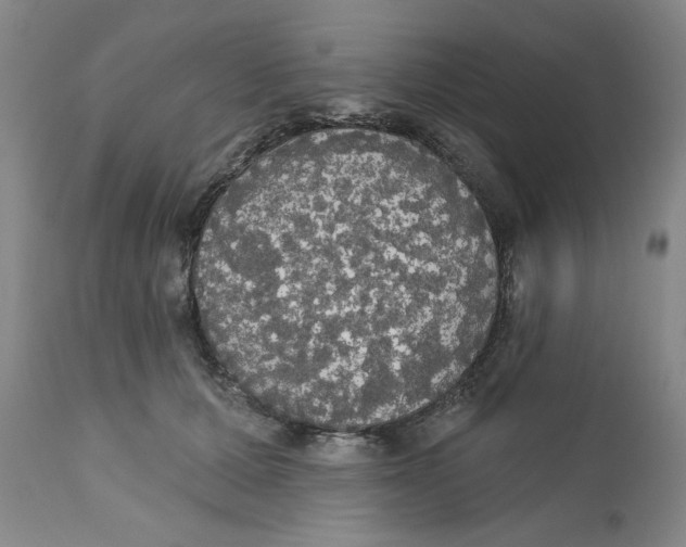 X0000111910607200908241028