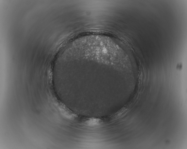 X0000111910609200908241028