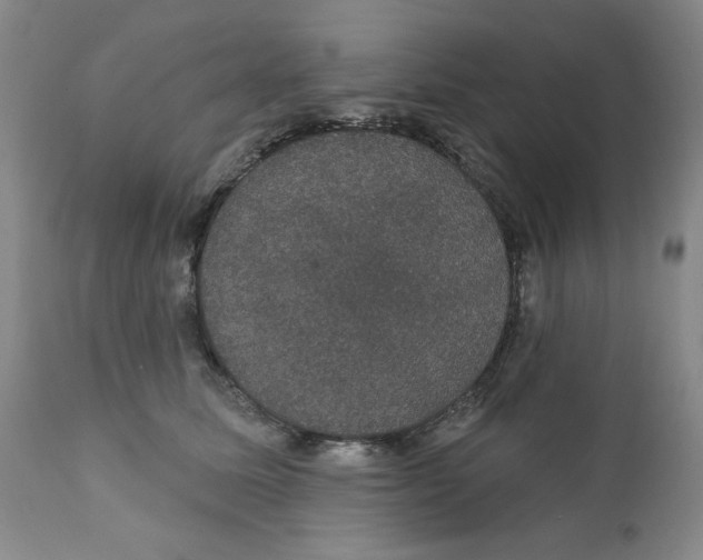 X0000111910611200908241028