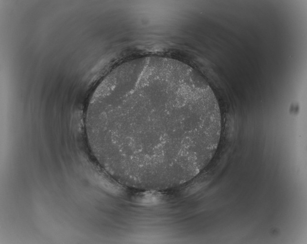 X0000111910612200908241028