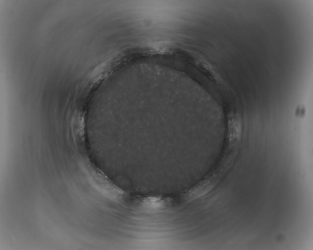 X0000111910613200908241028