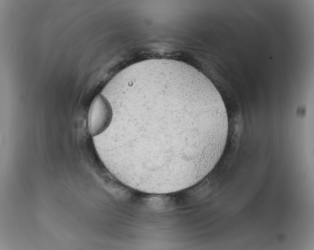 X0000111910615200908241028