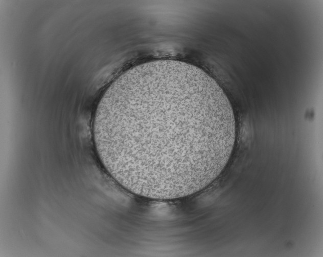 X0000111910616200908241028