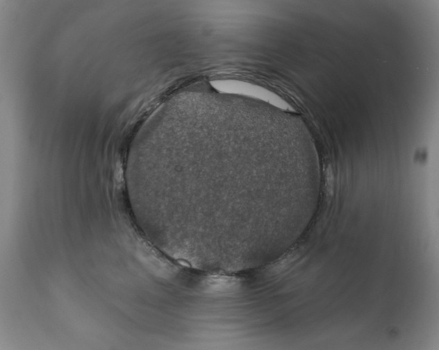 X0000111910617200908241028
