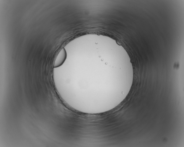 X0000111910619200908241028