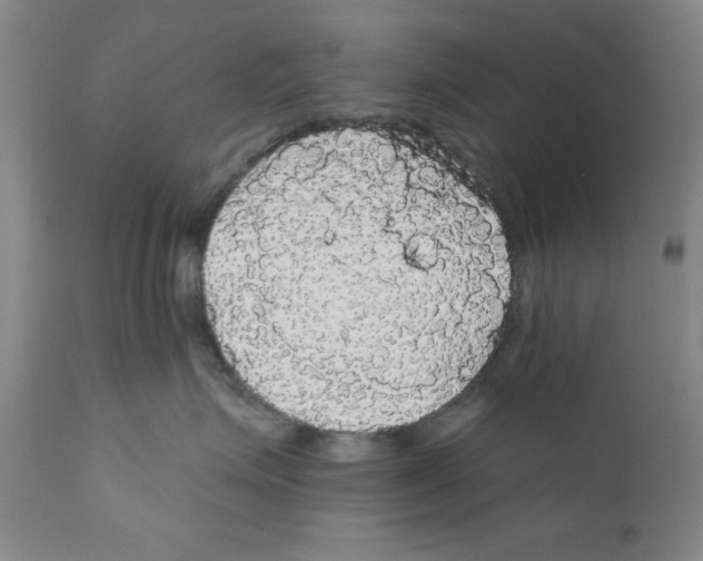 X0000111910623200908241028