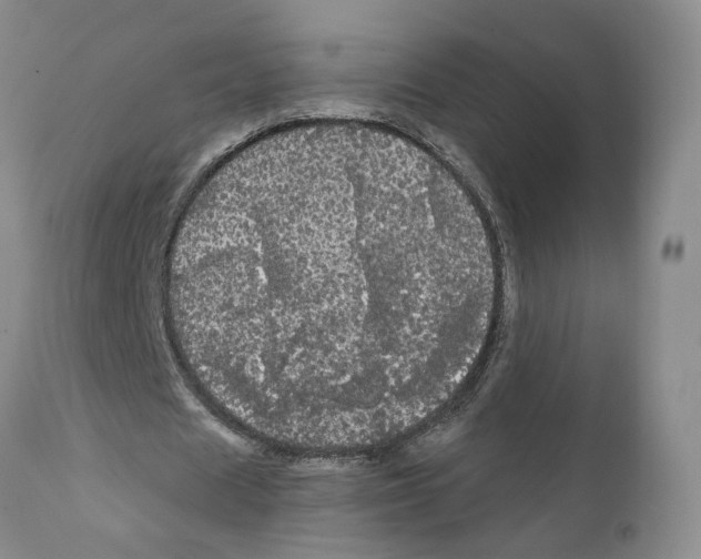 X0000111910625200908241027