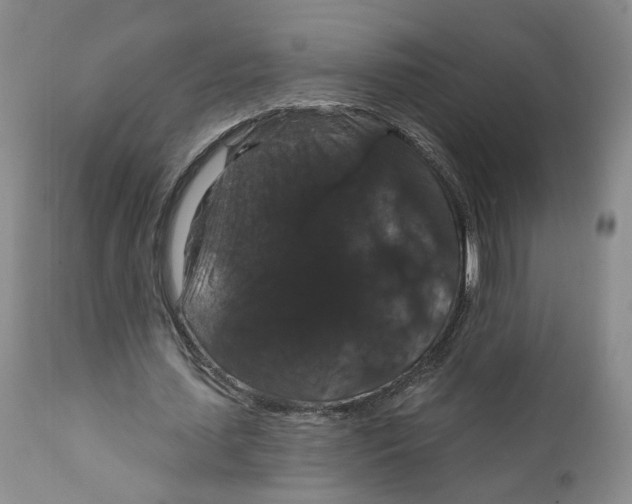 X0000111910627200908241027