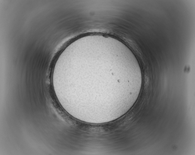 X0000111910628200908241027