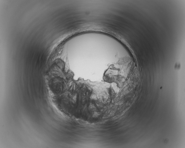 X0000111910629200908241027